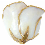 Lacquered Sparkling Diamond White Rose with 24K Gold Trim