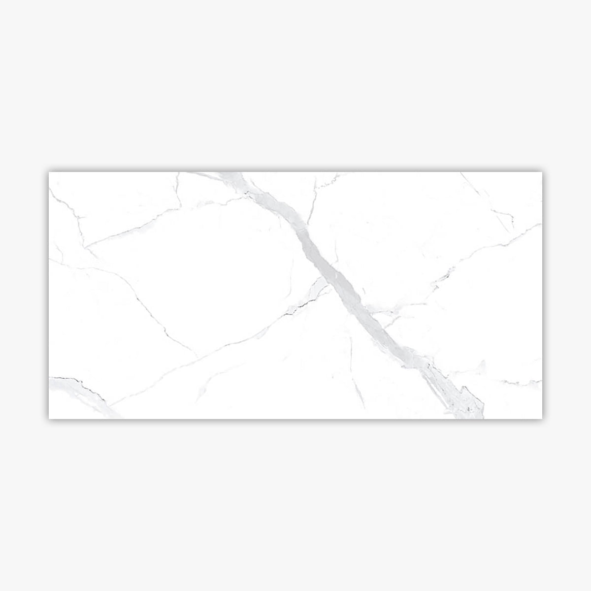 Statuario Matte 24x48 Porcelain Tile