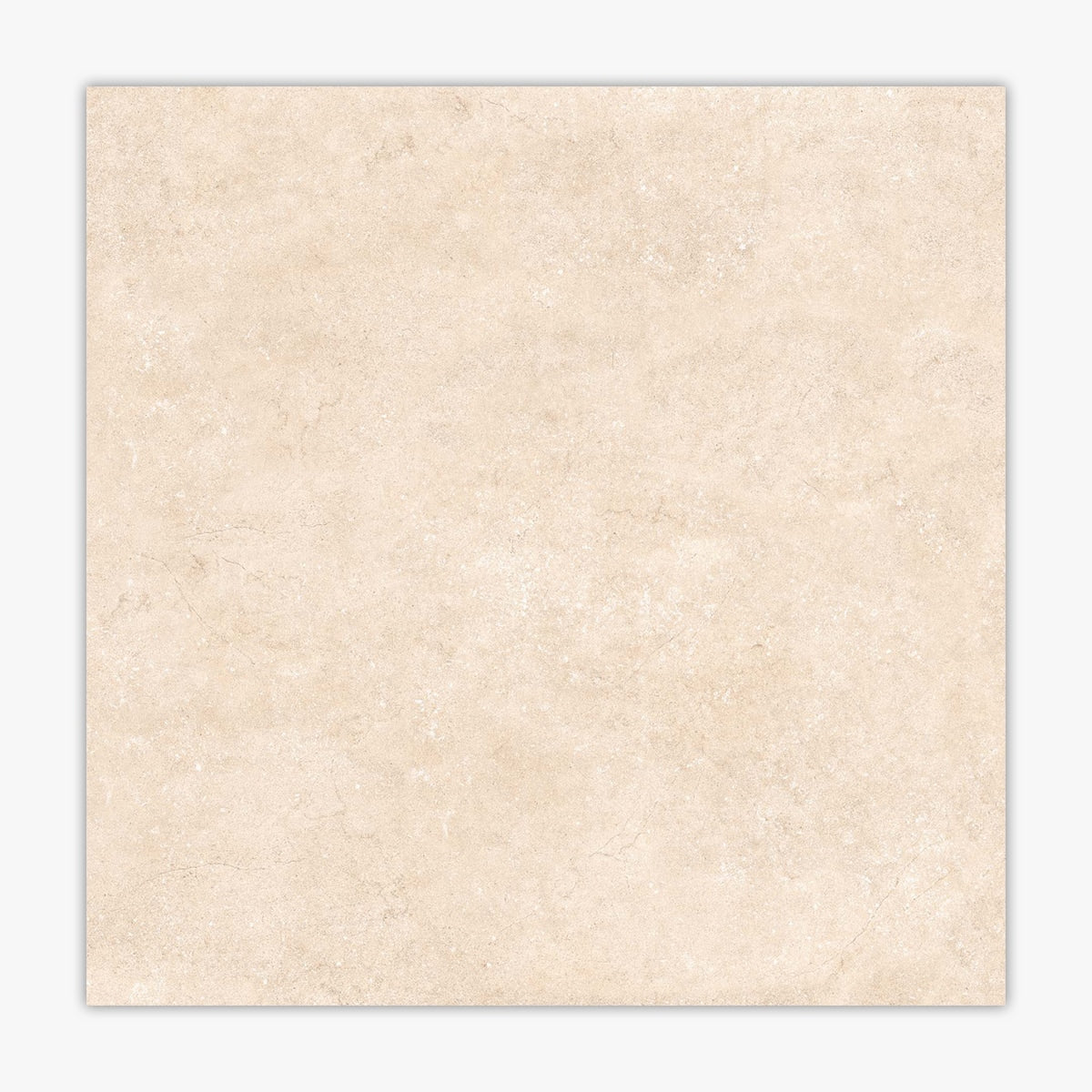 Ark Ivory Polished 24x24 Porcelain Tile