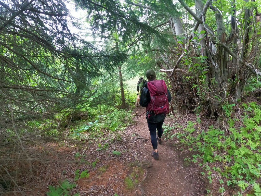 Hiking Crow Pass Alaska Heather's Choice Journal Trip Report Thru Hike Backpacking