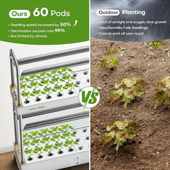 Comparison between Ahope vertical garden and outdoor gardening