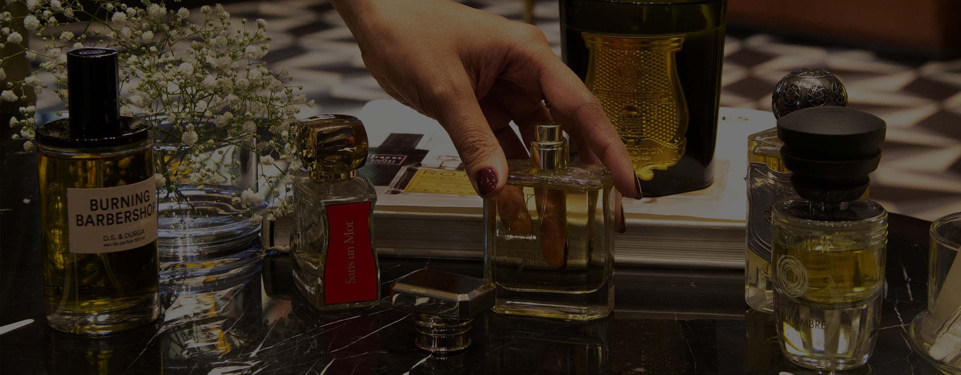 Explore Premium Perfume Brands: Scentido's Finest – Page 3 – SCENTIDO