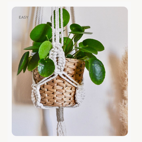 Greta Plant Hanger