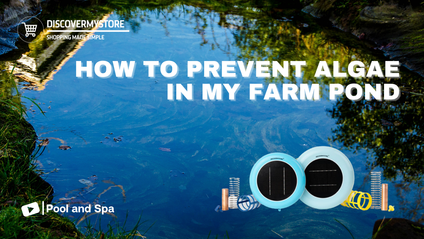 How to Prevent Algae in My Farm Pond Solar Pool Ionizers