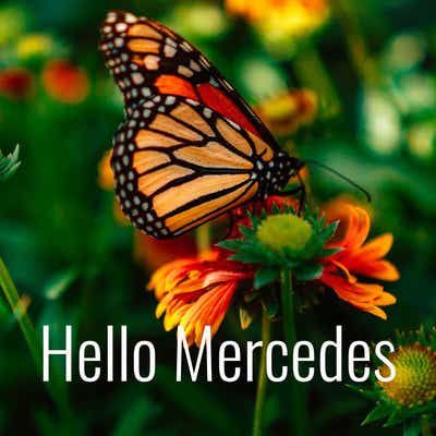 Hello Mercedes Podcast