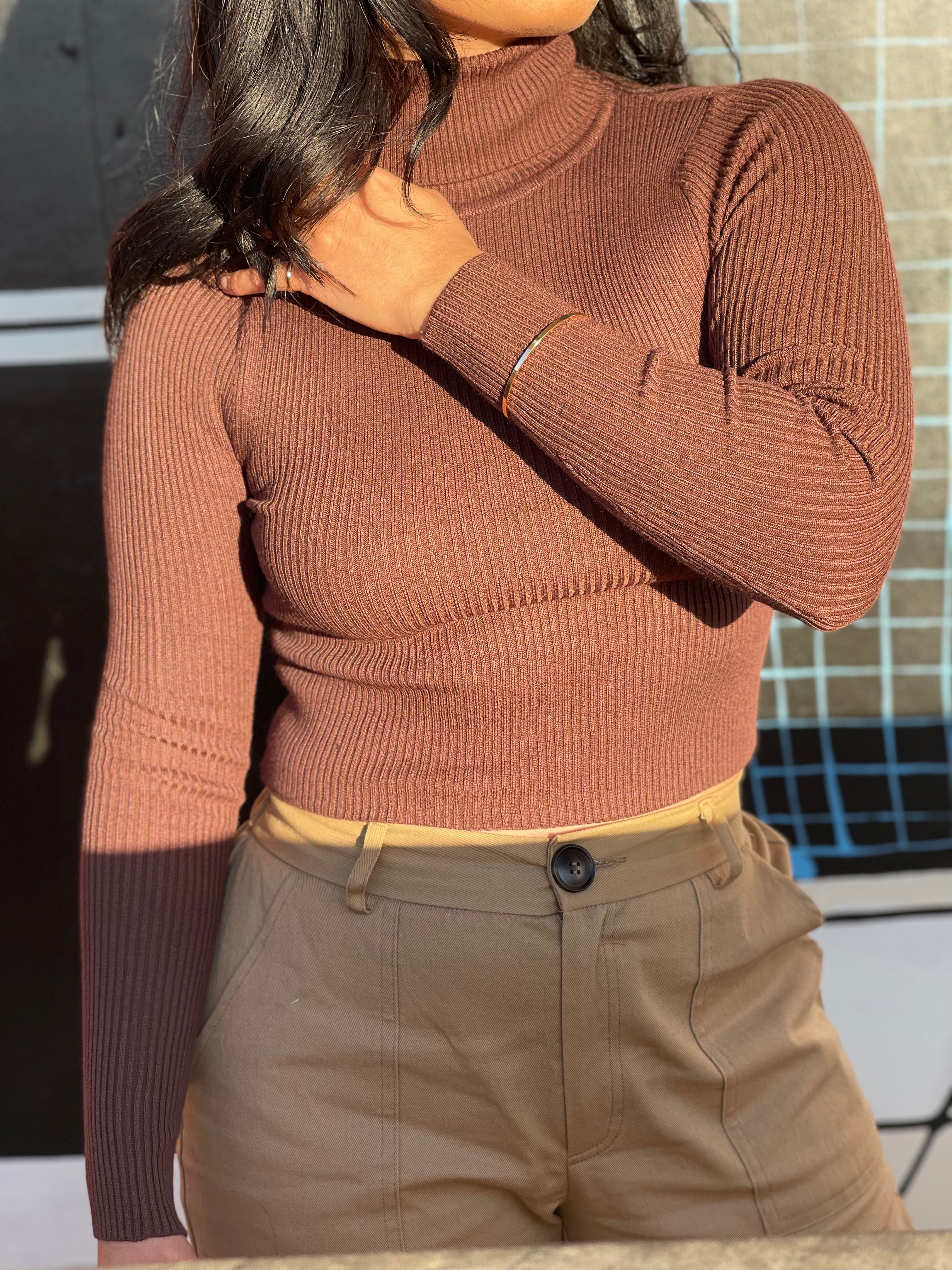 Cropped Turtleneck Sweater Top