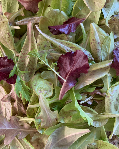 Homegrown spring mix