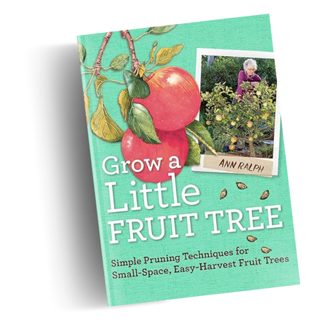 Photo of recommended book cover, Grow a Little Fruit Tre for holiday gardener gift guide.