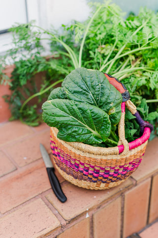 Colorful multipurpose garden basket