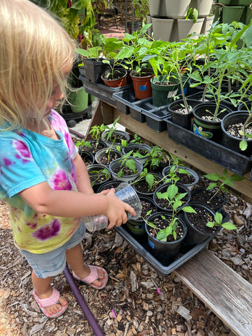 Child watering vegetable seedlings.