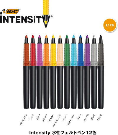 Pre-Order) BIC Intensity Dual Chip Markers 0.7mm Water-based pen  ITS-DUTCMPK12 BIC – CHL-STORE