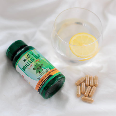 mullein leaf mullein extract mullein leaf extract mullein leaf capsules 