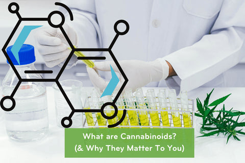 blog-cannabinoids