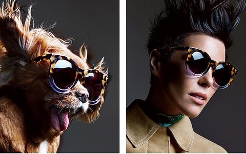 Karen Walker Sunglasses Dog