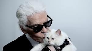 Cats and Karl