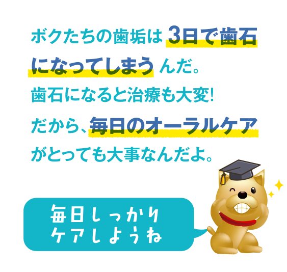 犬の歯垢は3日で歯石になるので毎日のオーラルケアが大事