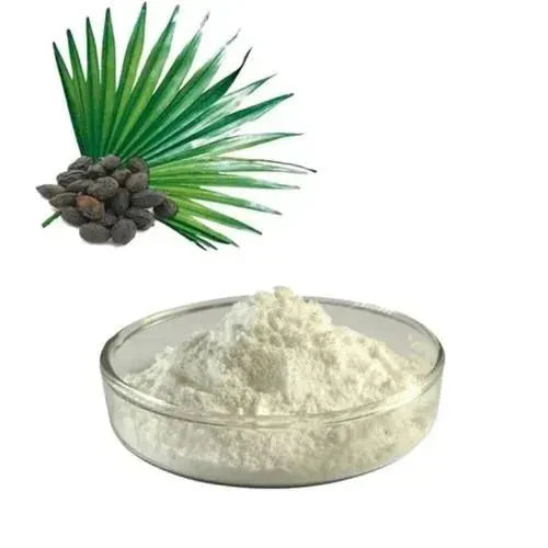 Saw Palmetto Extract Powder (Serenoa repens)