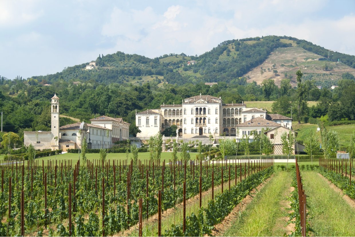 Veduta Panoramica del Borgo di Asolo e delle sue vigne