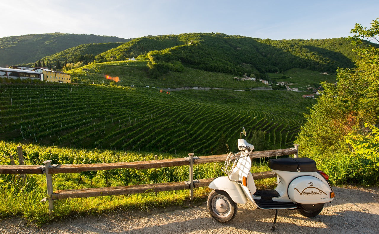 Il progetto Vaigustando - Immagine vespa brandizzata 