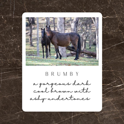 Pureco Paints Brumby