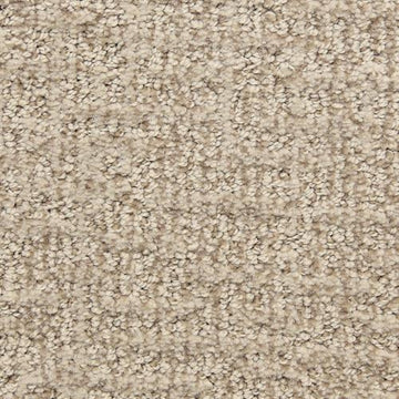 Harbour View - Soft Taupe Carpet in WA