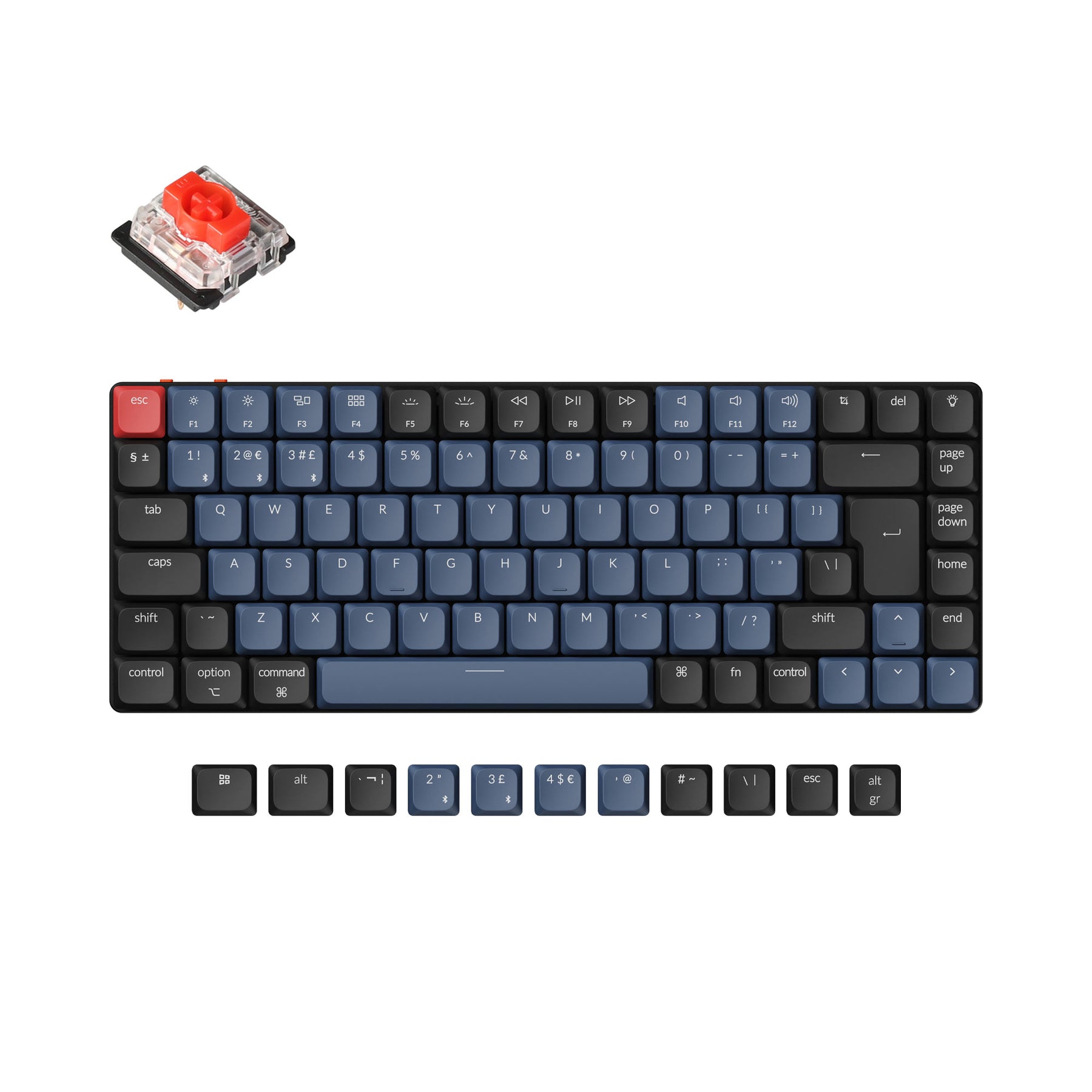 Clavier Gamer Keychron K4 V2 - RVB AL - Bleu Gateron - Micro Data BR En  Ligne