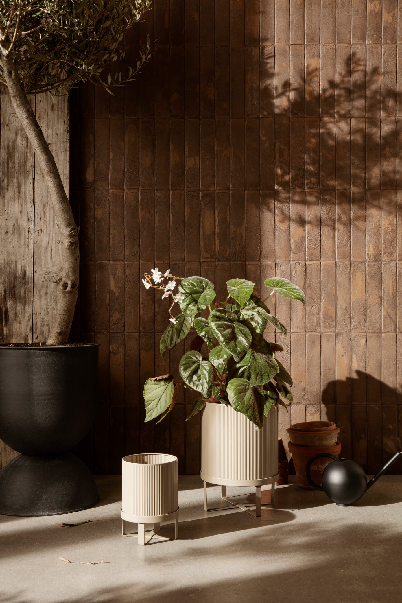 Orb Watering Can, In-Situ