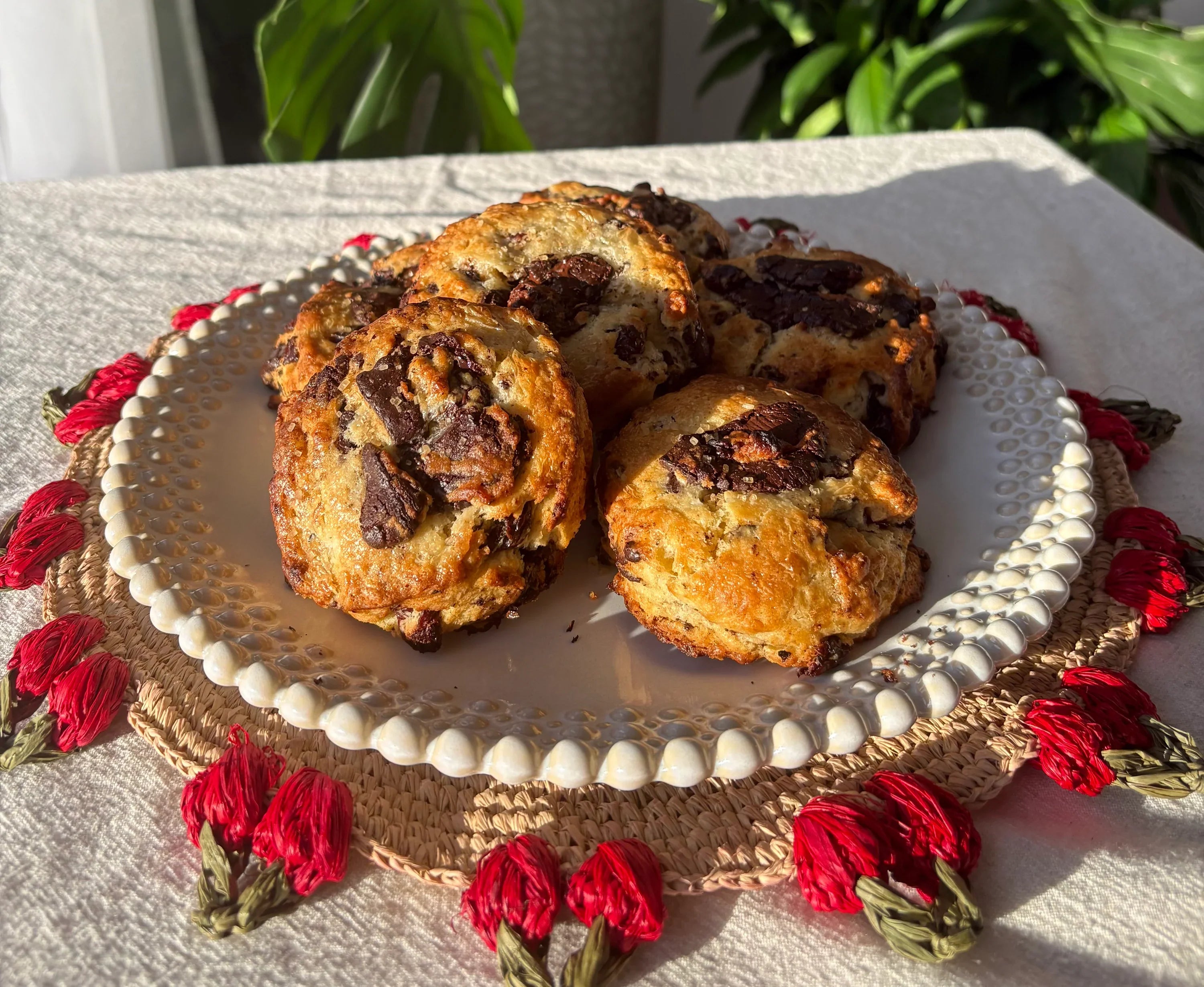 gourmet chocolate cherry scones