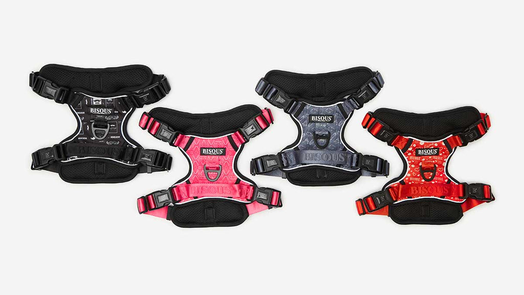 Four Bisous dog harnesses in various patterns and colours, black, red, blue and pink