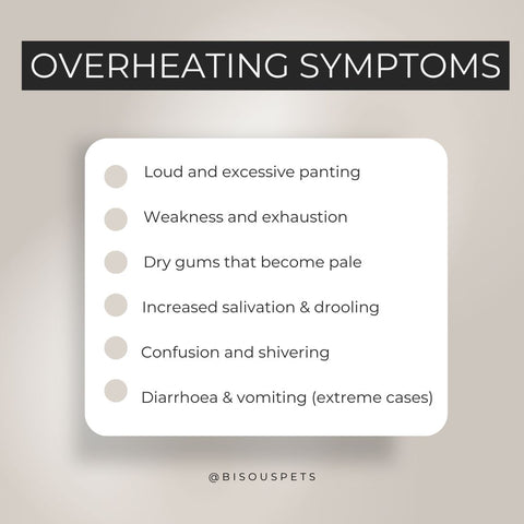 Dog overheating symptoms list