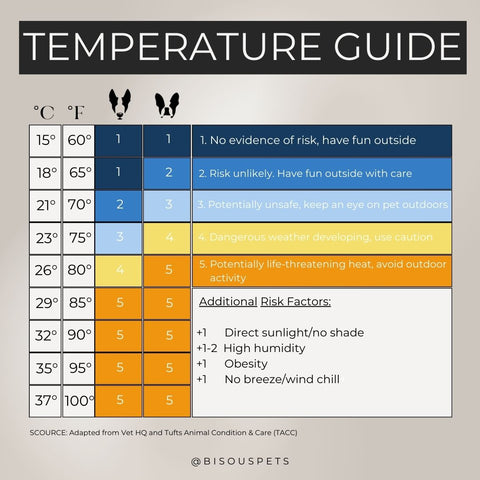 Dog safe temperature guide for outside walks and activities to keep them safe