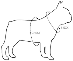 dog sizing diagram with measurement locations indicated on the neck and chest areas