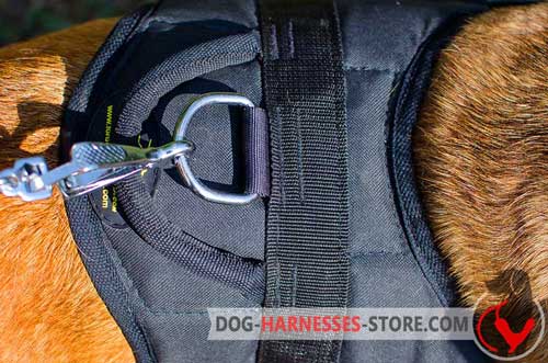 D-ring for Leash Attachment
