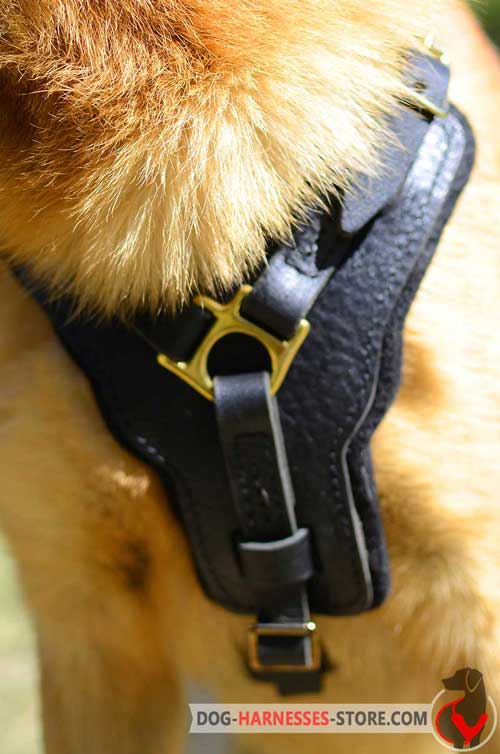 Y-shaped chest plate