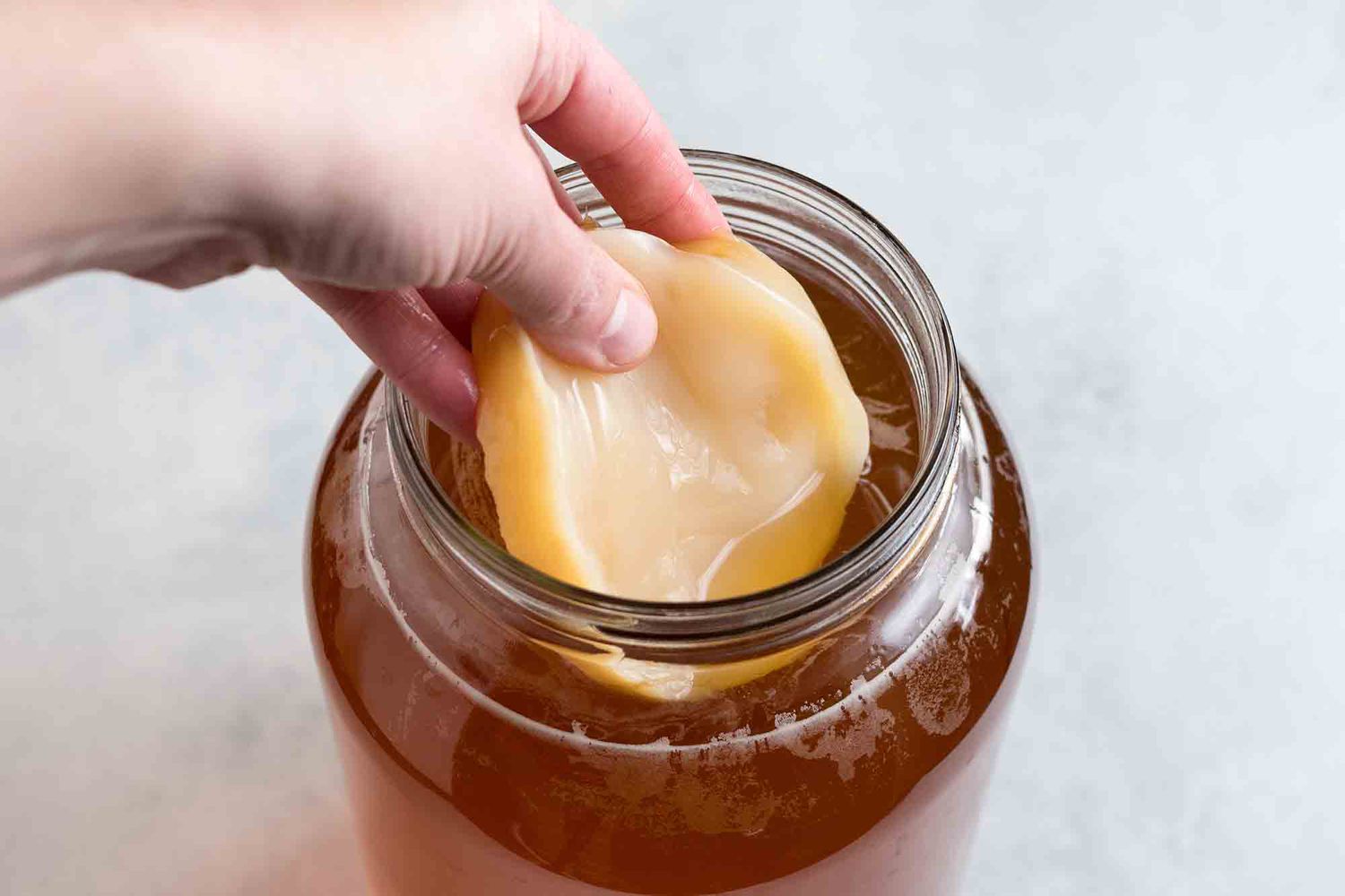 cách nuôi scoby để làm kombucha