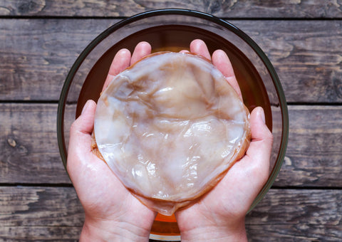 scoby là gì