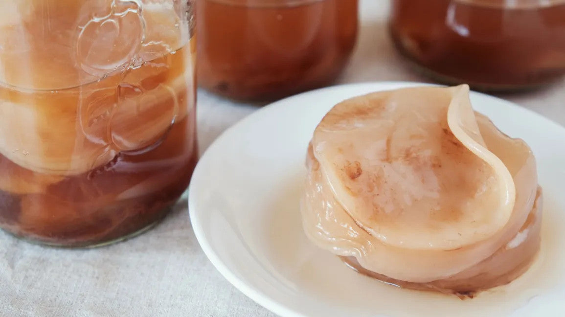 scoby là gì