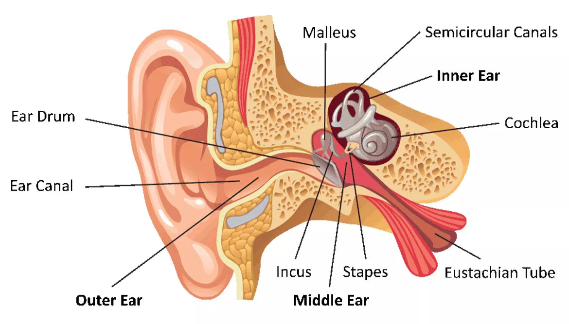 How do air conduction headphones work?