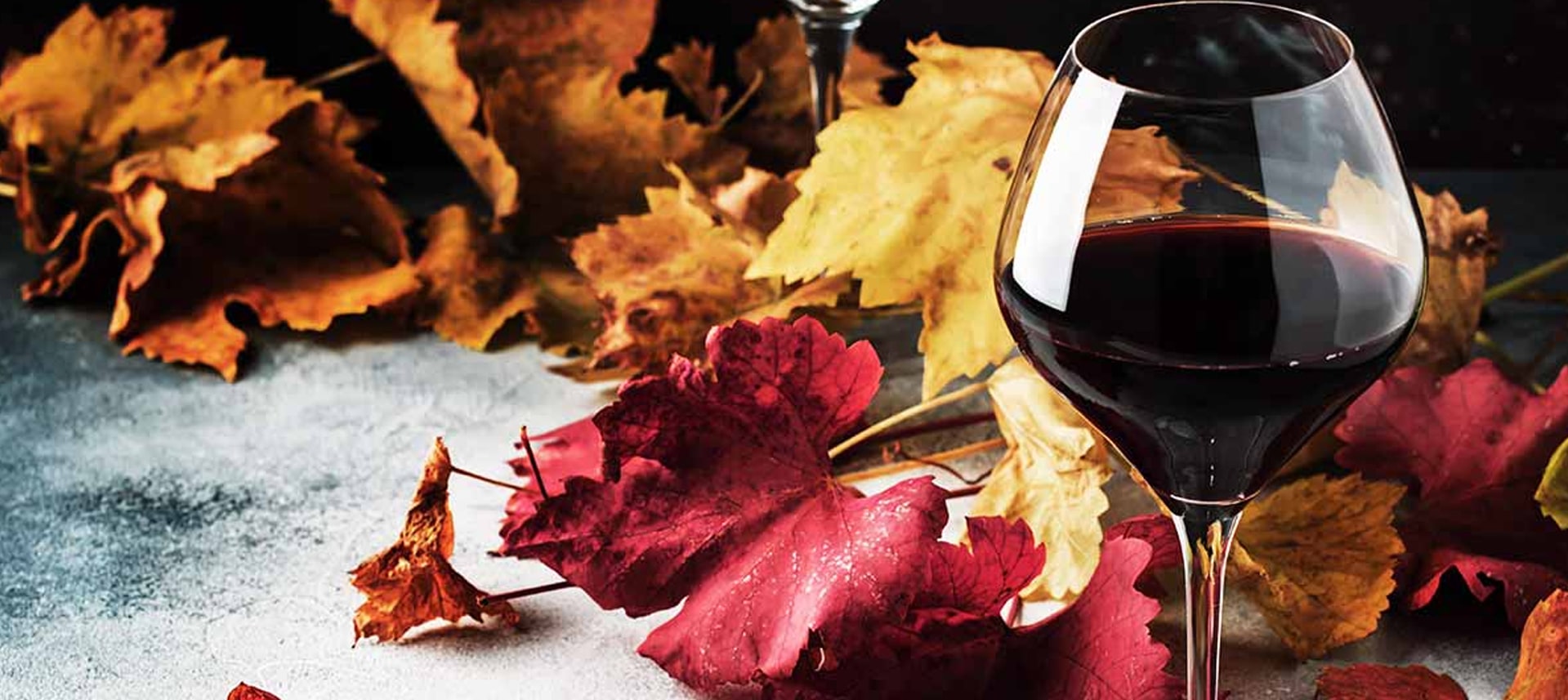 A glass of red wine surrounded by autumn leaves.