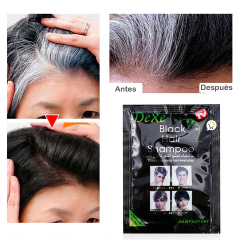 SHAMPOO CUBRE CANAS (VEGETAL) – Vitacompras