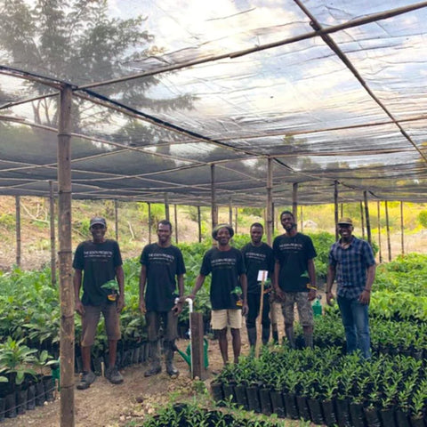 Image of 6 people standing in a line surrounded by tree seedlings as part of the Eden Reforestation team