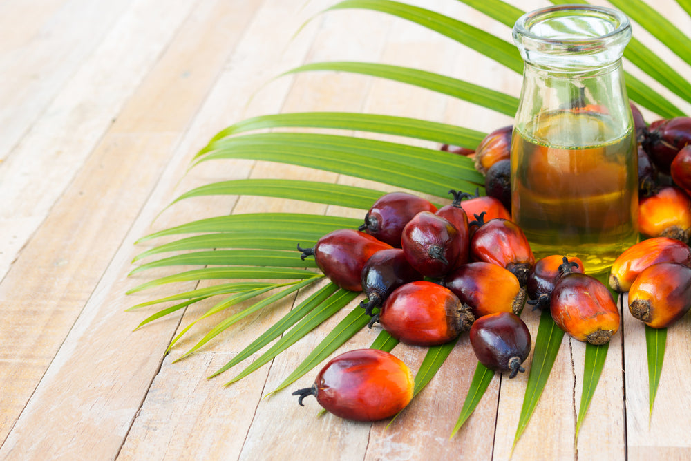 sustainable palm oil, palm oil, sustainable, EarthHero, RSPO, eco friendly