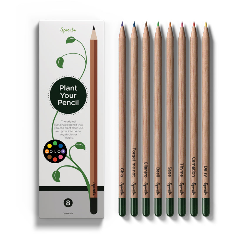 Recycled Paper Colored Pencils – Chicory Naturalist