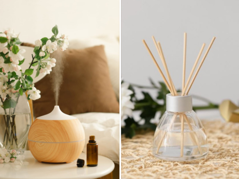 Diffusers and Fragrances