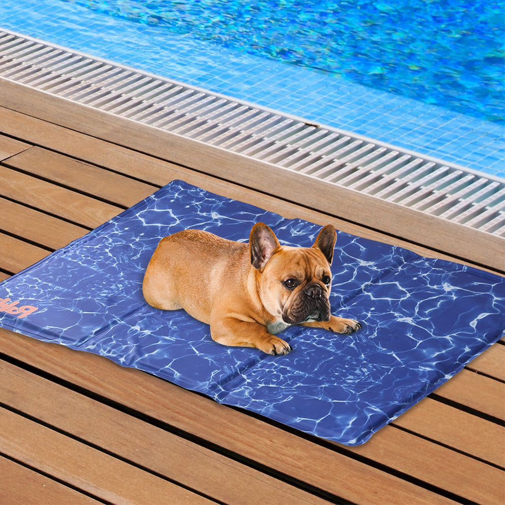 de studie begrijpen Clam Ocean Cooling Mat (XL) – Cool Dogs