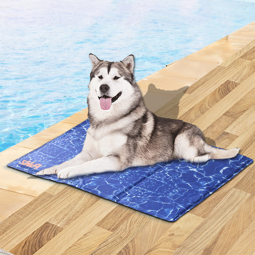 Sluiting Eigenlijk Experiment Ocean Cooling Mat (XXL) – Cool Dogs
