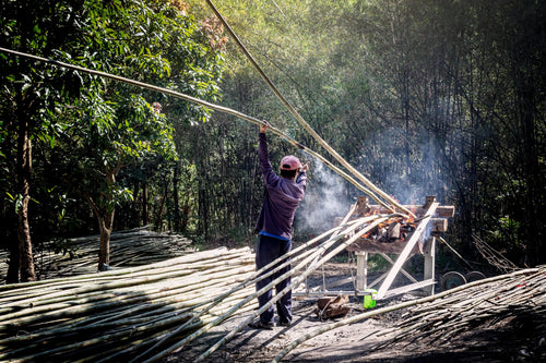 Ein Arbeiter bearbeitet den geernteten Bambus