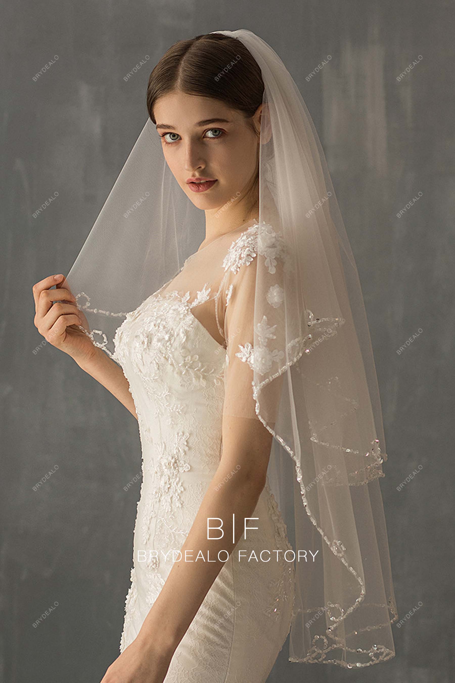https://cdn.shopify.com/s/files/1/0617/3602/6361/products/fingertip-length-beaded-wedding-veil.jpg?v=1676636844&width=1800