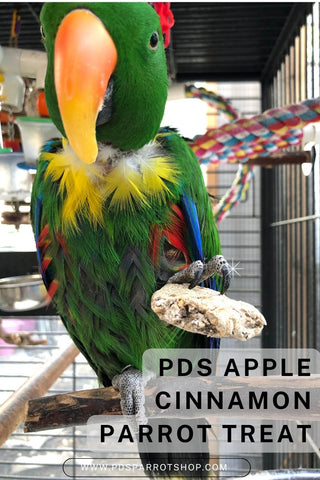 PDS_Parrot _treat_recipe