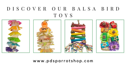 Basla bird toys at pds parrot shop